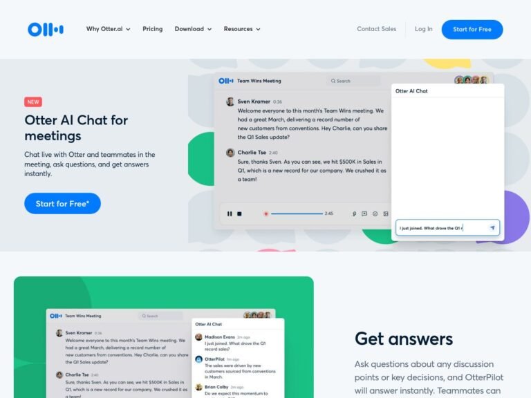 Otter AI Chat